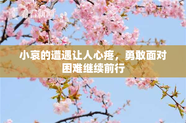 小哀的遭遇让人心疼，勇敢面对困难继续前行