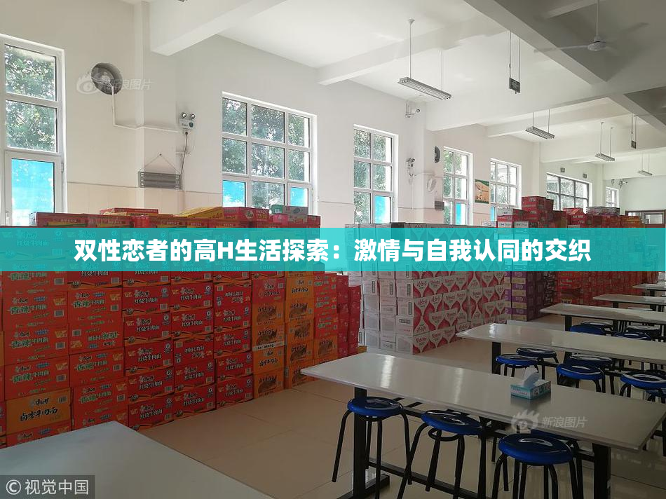 双性恋者的高H生活探索：激情与自我认同的交织