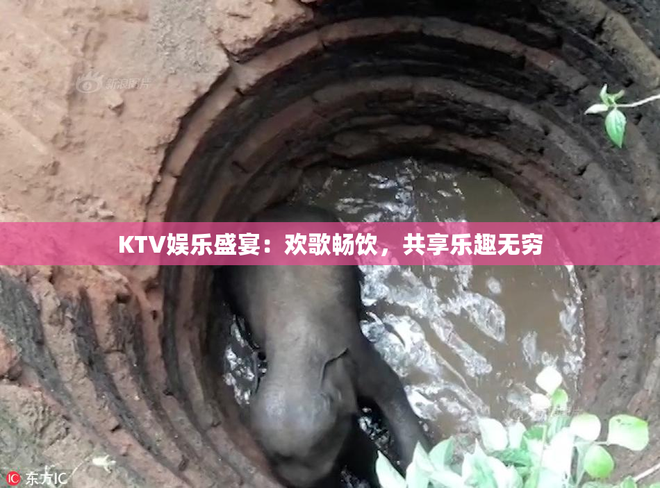 KTV娱乐盛宴：欢歌畅饮，共享乐趣无穷