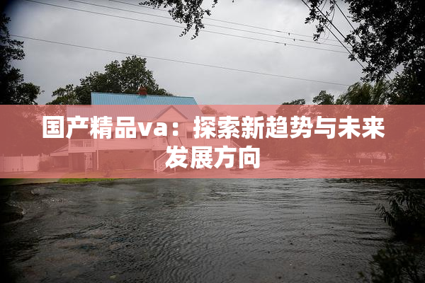 国产精品va：探索新趋势与未来发展方向