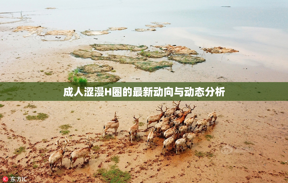 成人涩漫H圈的最新动向与动态分析