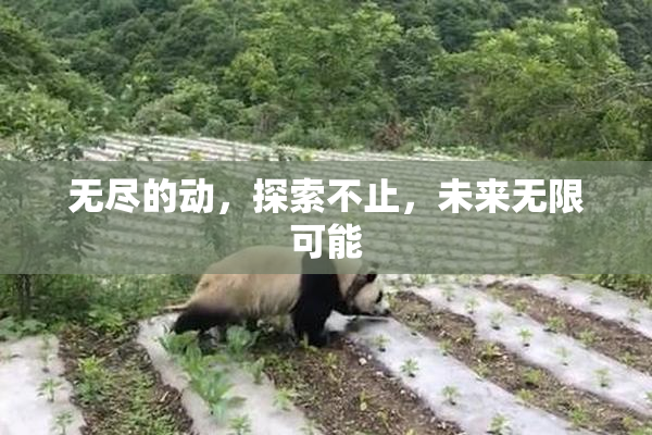 无尽的动，探索不止，未来无限可能