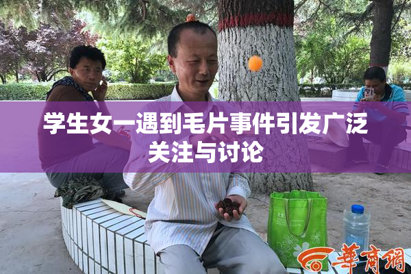 学生女一遇到毛片事件引发广泛关注与讨论
