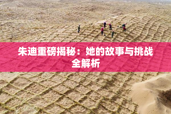 朱迪重磅揭秘：她的故事与挑战全解析