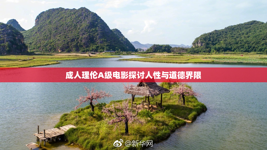 成人理伦A级电影探讨人性与道德界限