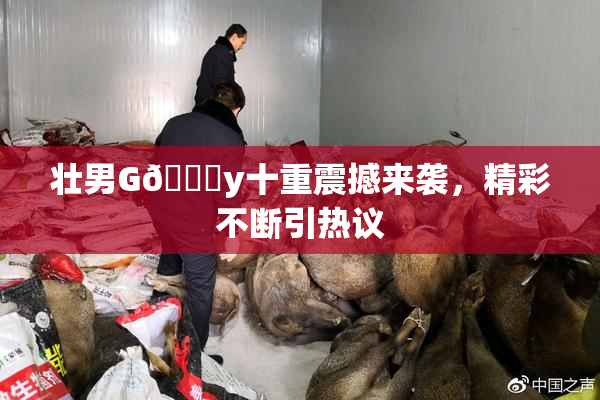 壮男G🈚y十重震撼来袭，精彩不断引热议