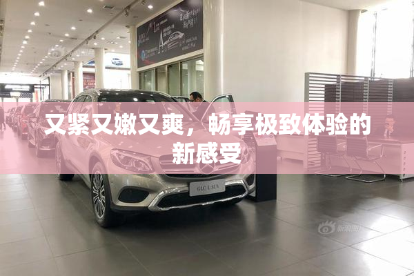 又紧又嫩又爽，畅享极致体验的新感受