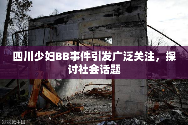 四川少妇BB事件引发广泛关注，探讨社会话题