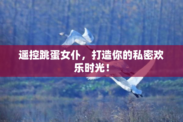 遥控跳蛋女仆，打造你的私密欢乐时光！
