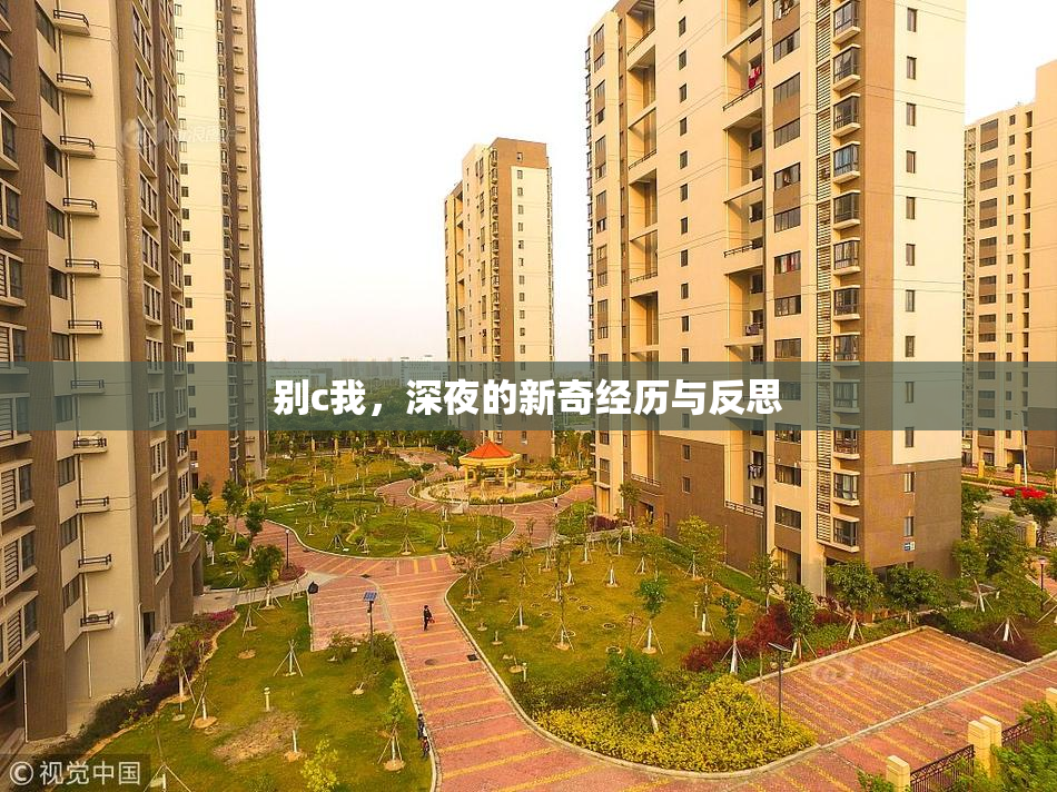 别c我，深夜的新奇经历与反思