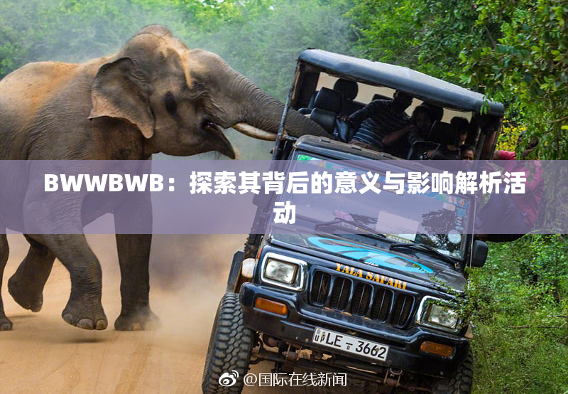 BWWBWB：探索其背后的意义与影响解析活动