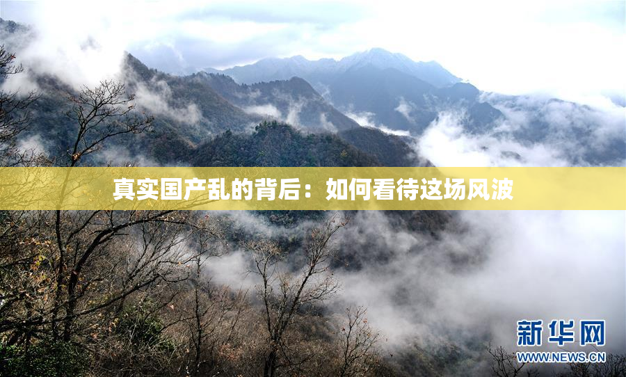 真实国产乱的背后：如何看待这场风波
