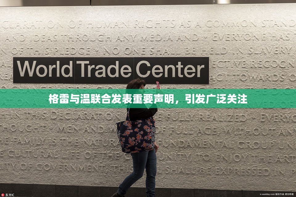 格雷与温联合发表重要声明，引发广泛关注