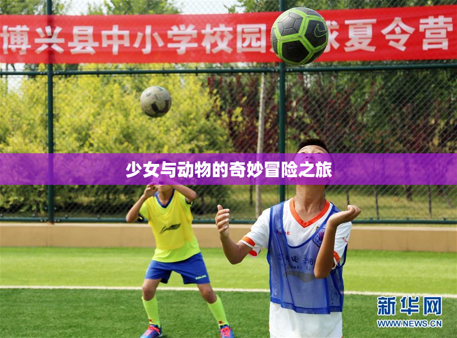 少女与动物的奇妙冒险之旅