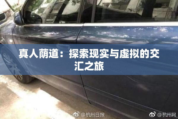 真人荫道：探索现实与虚拟的交汇之旅