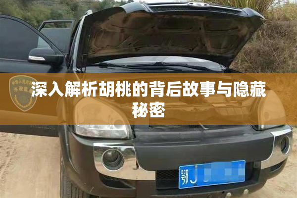 深入解析胡桃的背后故事与隐藏秘密