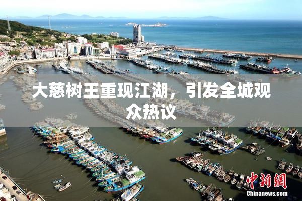 大慈树王重现江湖，引发全城观众热议