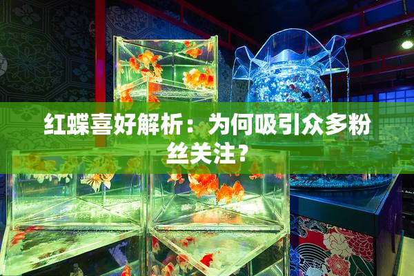 红蝶喜好解析：为何吸引众多粉丝关注？