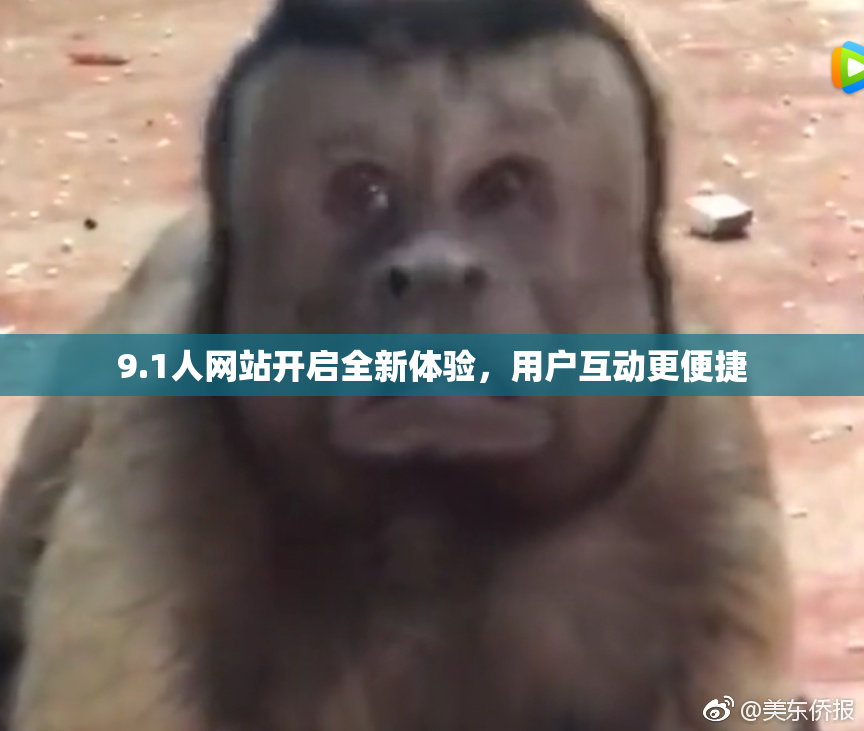9.1人网站开启全新体验，用户互动更便捷