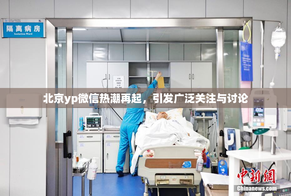 北京yp微信热潮再起，引发广泛关注与讨论