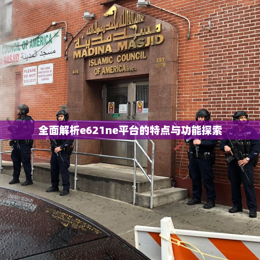 全面解析e621ne平台的特点与功能探索