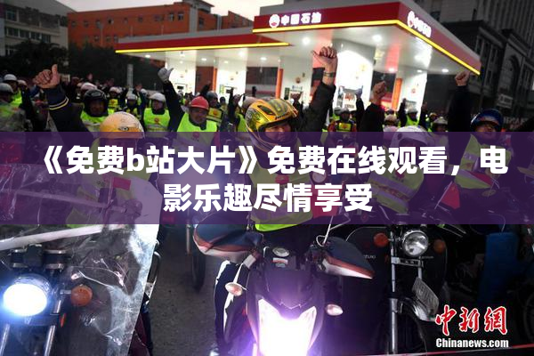 《免费b站大片》免费在线观看，电影乐趣尽情享受