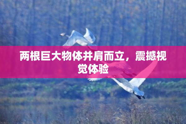 两根巨大物体并肩而立，震撼视觉体验