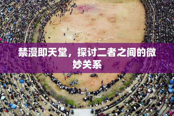 禁漫即天堂，探讨二者之间的微妙关系