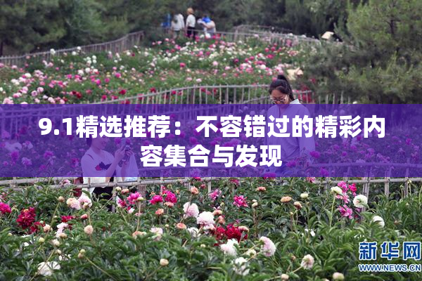 9.1精选推荐：不容错过的精彩内容集合与发现