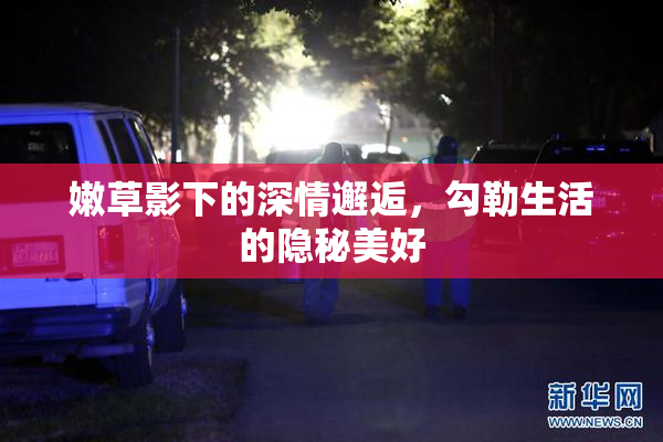 嫩草影下的深情邂逅，勾勒生活的隐秘美好