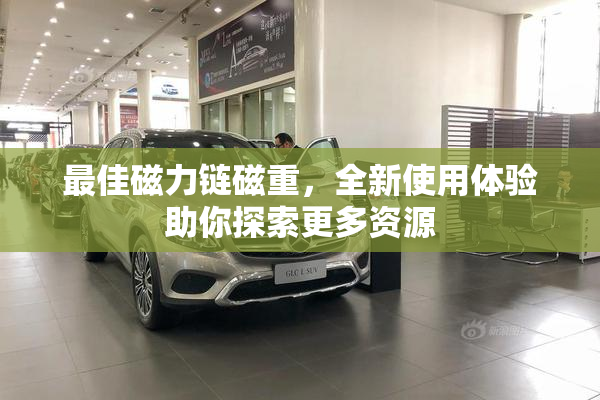 最佳磁力链磁重，全新使用体验助你探索更多资源