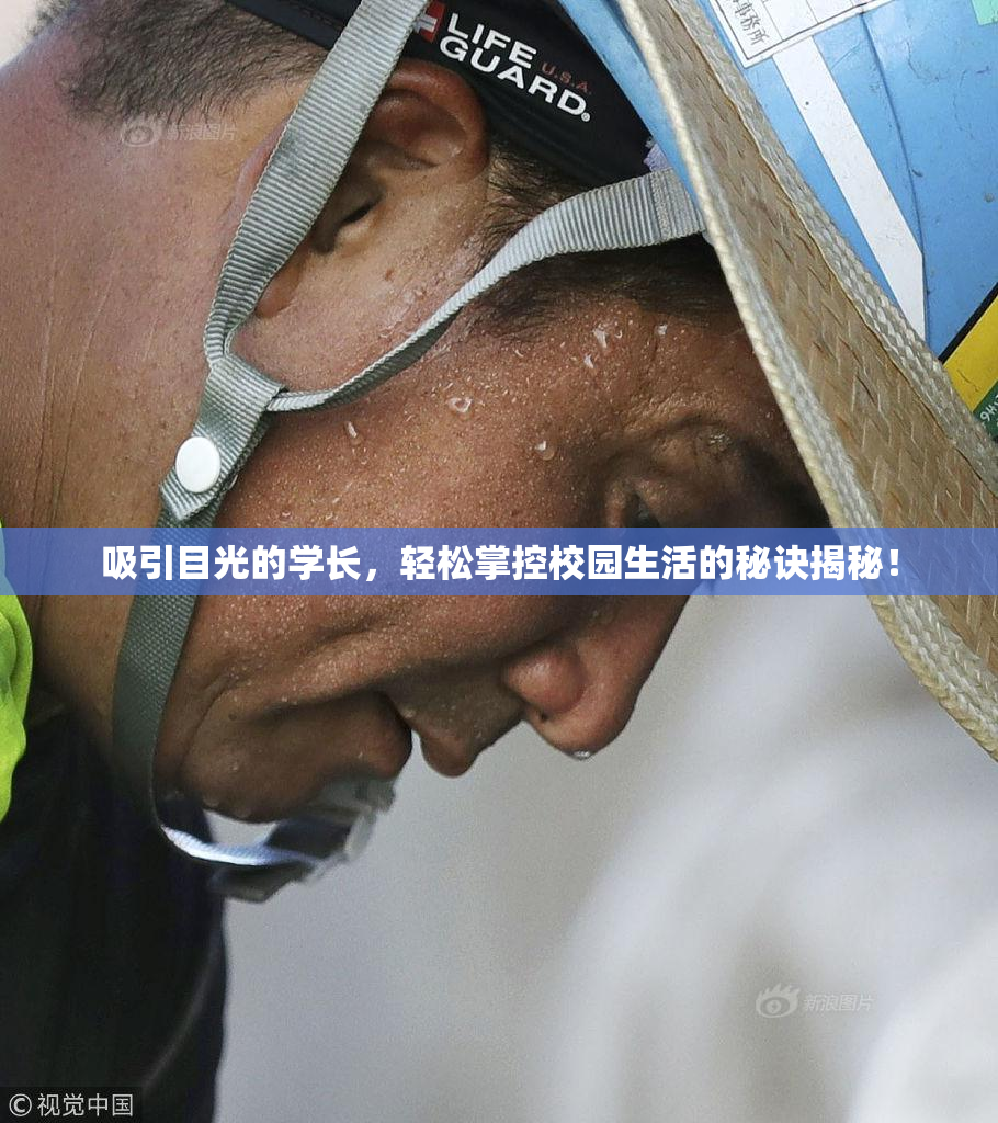吸引目光的学长，轻松掌控校园生活的秘诀揭秘！