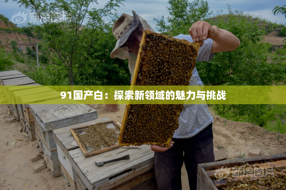91国产白：探索新领域的魅力与挑战