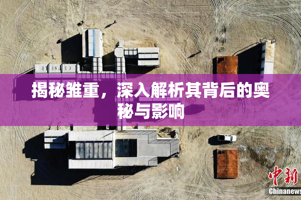 揭秘雏重，深入解析其背后的奥秘与影响