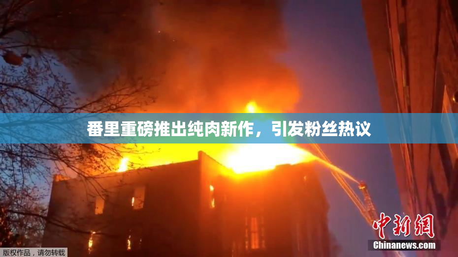 番里重磅推出纯肉新作，引发粉丝热议
