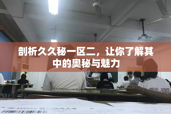 剖析久久秘一区二，让你了解其中的奥秘与魅力