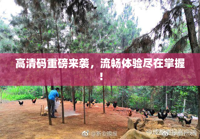 高清码重磅来袭，流畅体验尽在掌握！