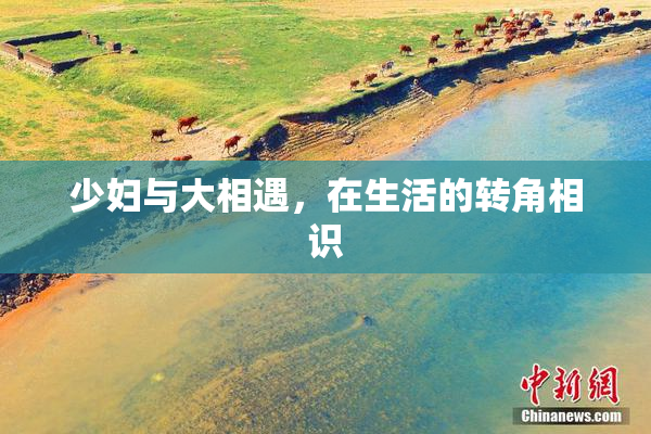 少妇与大相遇，在生活的转角相识