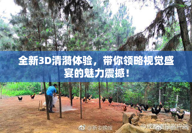 全新3D清漪体验，带你领略视觉盛宴的魅力震撼！