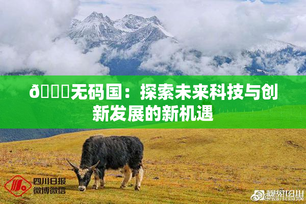 🔞无码国：探索未来科技与创新发展的新机遇