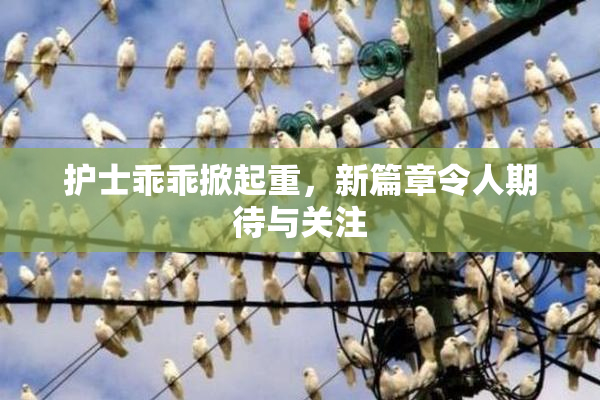 护士乖乖掀起重，新篇章令人期待与关注