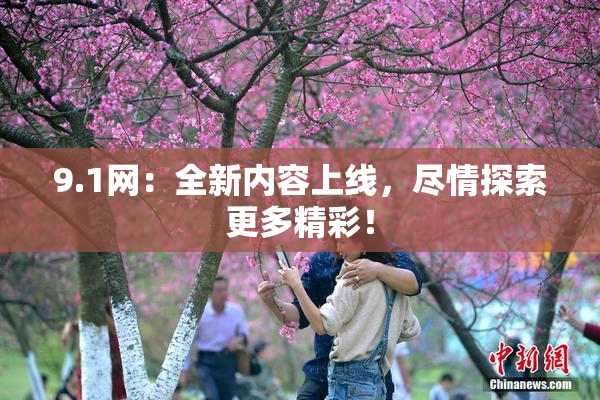 9.1网：全新内容上线，尽情探索更多精彩！