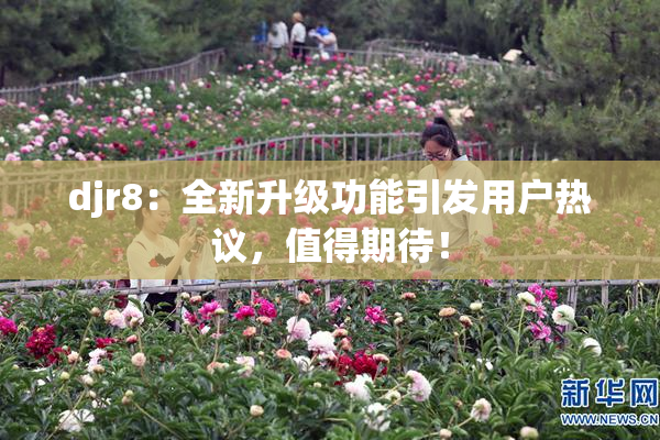 djr8：全新升级功能引发用户热议，值得期待！