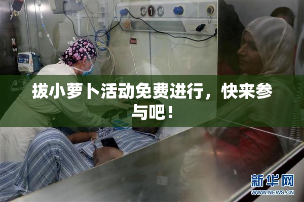 拔小萝卜活动免费进行，快来参与吧！