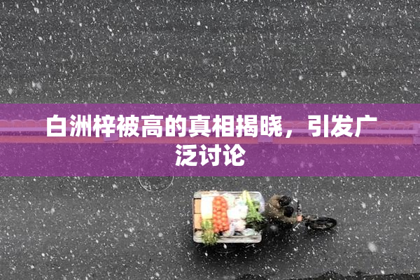 白洲梓被高的真相揭晓，引发广泛讨论