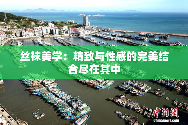 丝袜美学：精致与性感的完美结合尽在其中