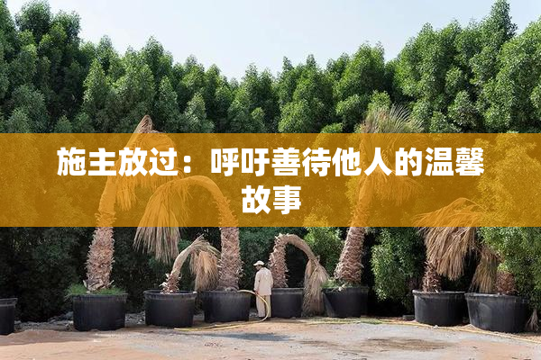 施主放过：呼吁善待他人的温馨故事