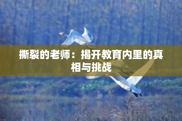撕裂的老师：揭开教育内里的真相与挑战