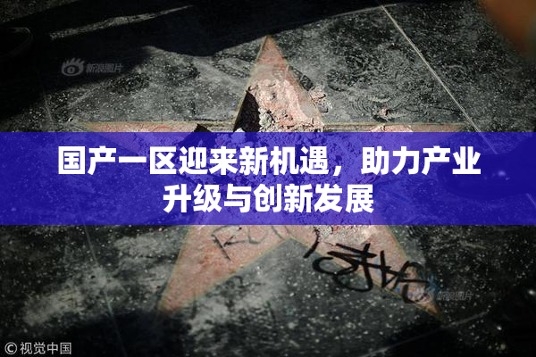 国产一区迎来新机遇，助力产业升级与创新发展