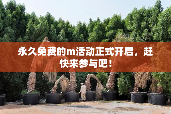 永久免费的m活动正式开启，赶快来参与吧！